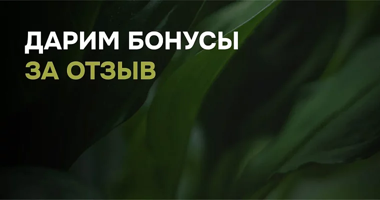 Дарим бонусы за отзыв 
