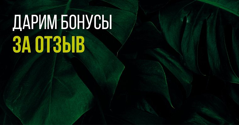 Дарим бонусы за отзыв